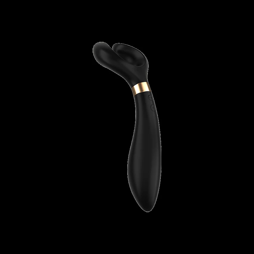Satisfyer Endless Fun, vibraator paaridele