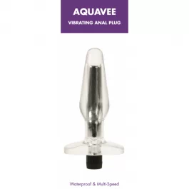 Aquavee mootoriga anaaltapp