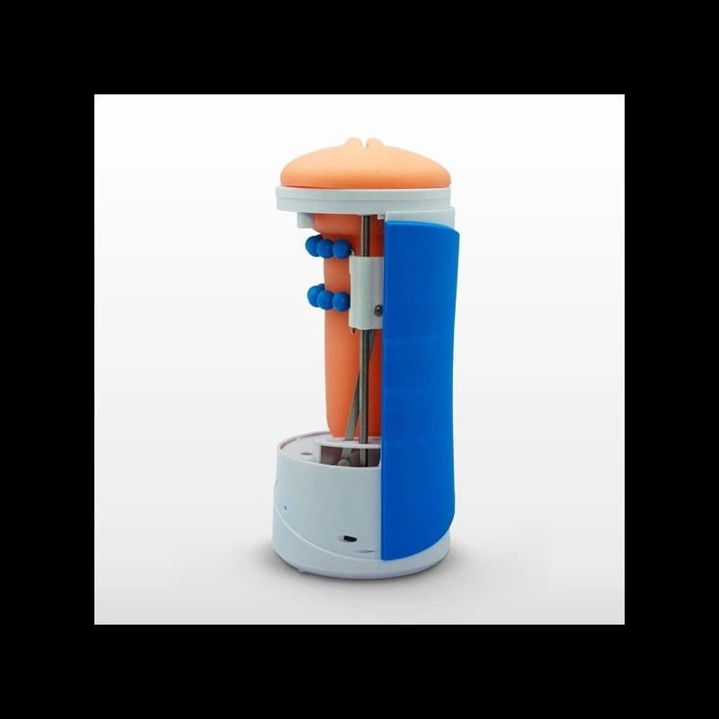 Autoblow 2 - Image 4