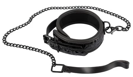 Bad Kitty leash and collar