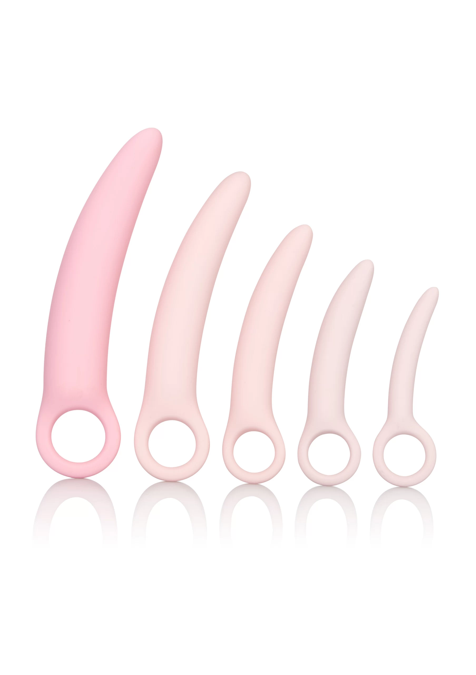 CalExotics Inspire Dilator Kit