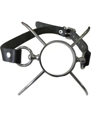 Mister B spider gag
