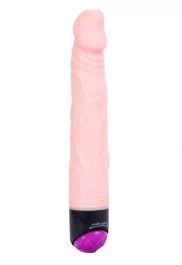 Multi-Speed Vibrator