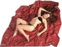 Vinyl Bed Sheet 2.0 x 2.3m