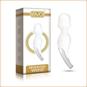 Evo massage wand