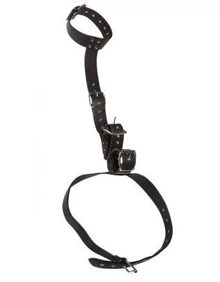 Bad Kitty neck restraint with handcuffs