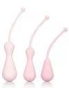 CalExotics Inspire Weighted Kegel Training Kit