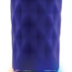 Evolved Raver minivibraator