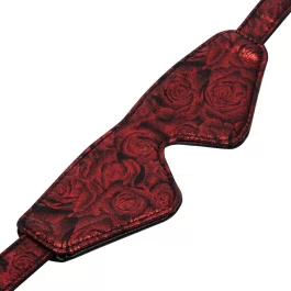 FSoG silmademask Anticipation