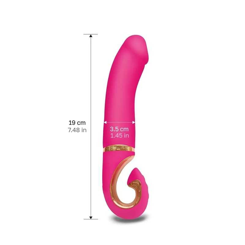 GVIBE - GJAY MINI WILDBERRY - Image 3