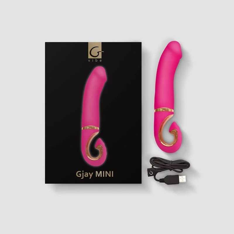 GVIBE - GJAY MINI WILDBERRY - Image 5