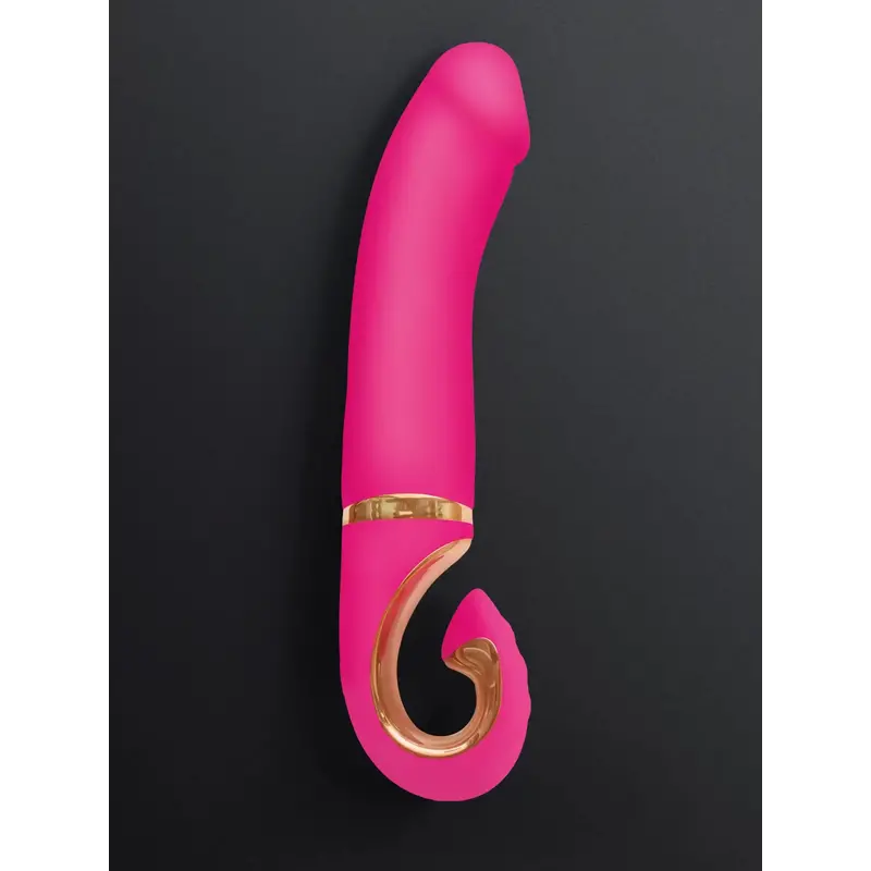 GVIBE - GJAY MINI WILDBERRY - Image 8