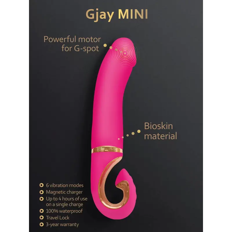GVIBE - GJAY MINI WILDBERRY - Image 9