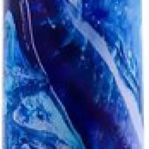 Limited Addiction Mesmerize minivibraator