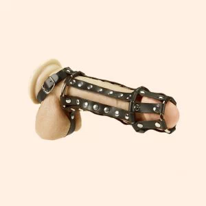 Nahast reguleeritav peenisepuur