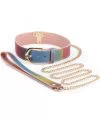NS Novelties Spectra Bondage collar with leash
