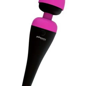 PalmPower Massager