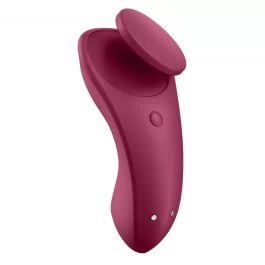 Satisfyer Sexy Secret Connect