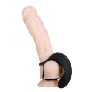 Vibreeriv munandikorv