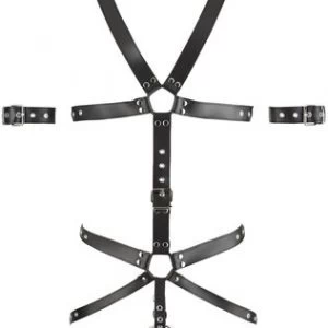 Zado leather strap body with penis rings