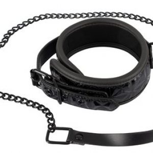 Bad Kitty leash and collar