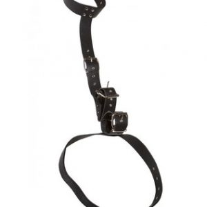 Bad Kitty neck restraint with handcuffs