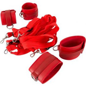 Bad Kitty red bed restraints