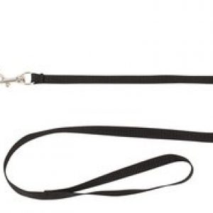 Bad Kitty studded collar with leash