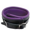 Mister B wrist restraints with padding
