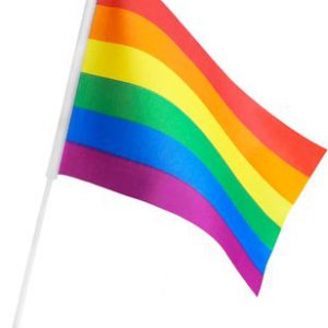 Rainbow Pride LGBT käsilipp