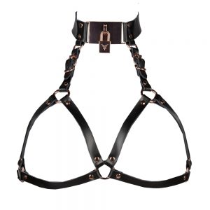 Voyeur X Harness Lock HARL014