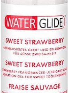 WATERGLIDE 300 ML MAGUS MAASIKA