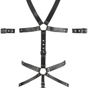 Zado leather strap body with penis rings